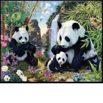 Besty panda group