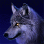 High Moon Wolf Pack