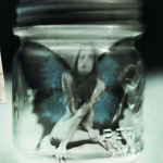 wings of faith