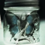 wings of faith Group Thumbnail