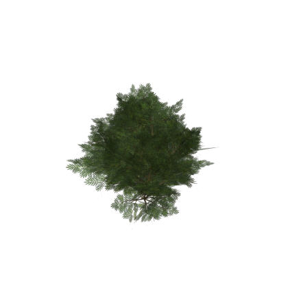 Realistic Bush