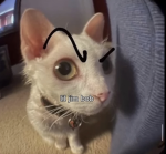 Lil Jim bob 123