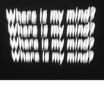 ScaredAway®