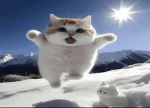 LampBW