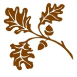 Oak Wood Inc