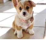 Hellooooooooe