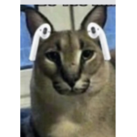 meekadoge
