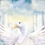 Duck-Kingdom