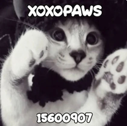 xoxopaws Roblox group icon