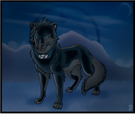 Ninja's of the wolves