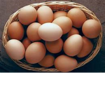 The Egg Mountain