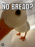 No bread?