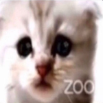 당̸̨̥̰͓̞̞͋̿̄̑̅̃̊͝͝͝신̷͖͗̉은̶̨̮͍̱͇̈́̓͘̕ ̴͇͔̃한̴̍͛̔̈́̈̂͘͝͝