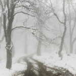 Winters Requiem