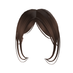 NewSide Bangs in Brown full combo