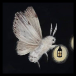 Moth Den