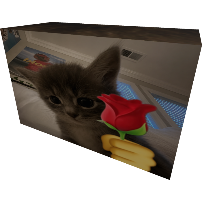 Rose Cat 😏