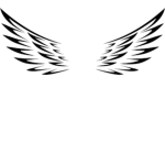 The winged nation