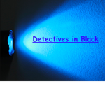 Detectives In Black