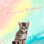 -Runaway Kittens-