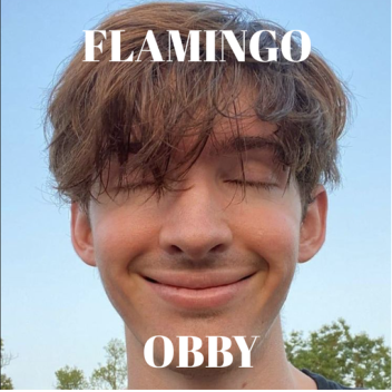Flamingo Obby