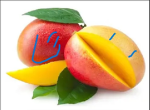 mangos nation