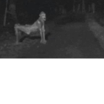 The skin walkers