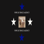 Popcat space force