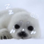 ꒰– ﻌ–꒱𝗓 𐰁