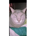 Thrilix