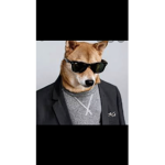 Agent doggo
