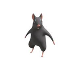 Tolman's Rats