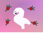 Flamingo follow group