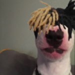 i dont even know what this will be