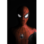 SPIDERMANS GROUP PLS JOIN