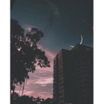 d e a d.