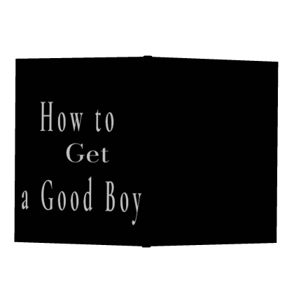 How to Get a Good Boy