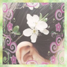 ✩°⋆🌿. ⋆⸜ 🍵✮˚