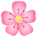 Team Pink.