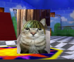 Supcat64
