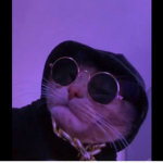 Kitty Souls