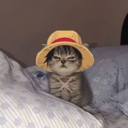Cat Luffy Roblox decal