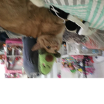 Graces group 1234 I sell items
