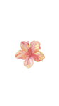 ||strawberry||