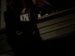 yuumi supremacy