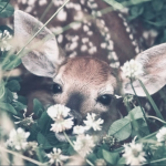 ♡