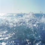 Water Wonder