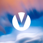 Vize & Partners