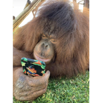 Gamer Monkey Productions