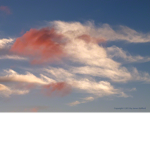 Blue_rasberry_sky’s t.t